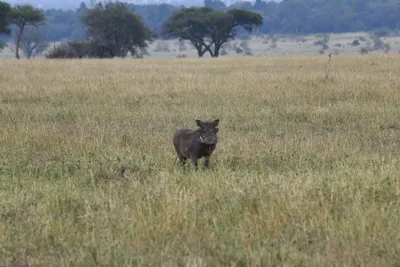 DSC_4066 (Large).JPG